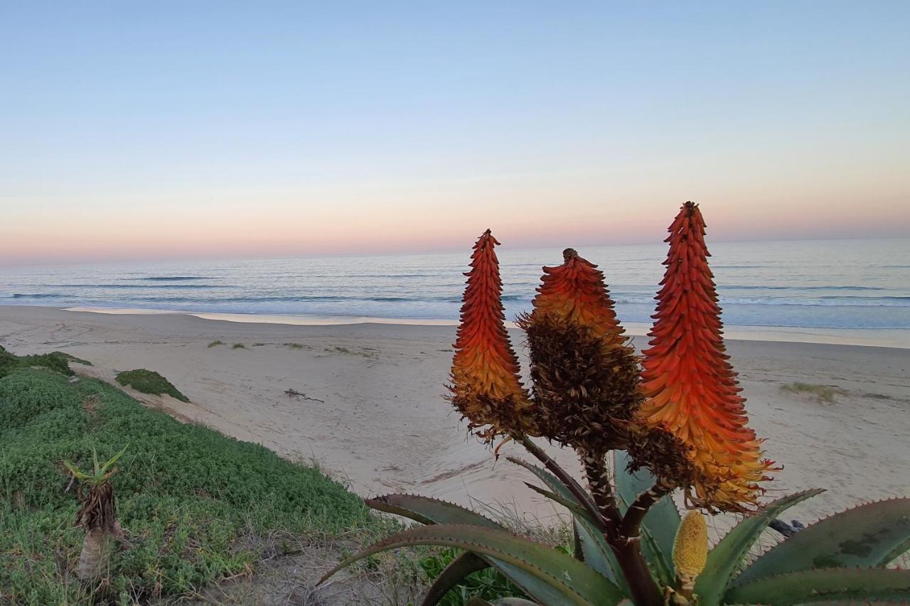 Paradise Found, Paradise Beach, Jeffreys Bay Bagian luar foto